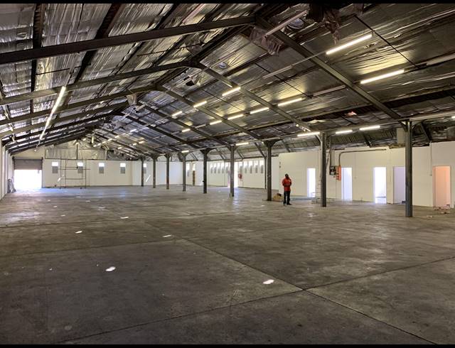 1,300M² FACTORY TO LET IN ELSIES RIVER INDUSTRIAL